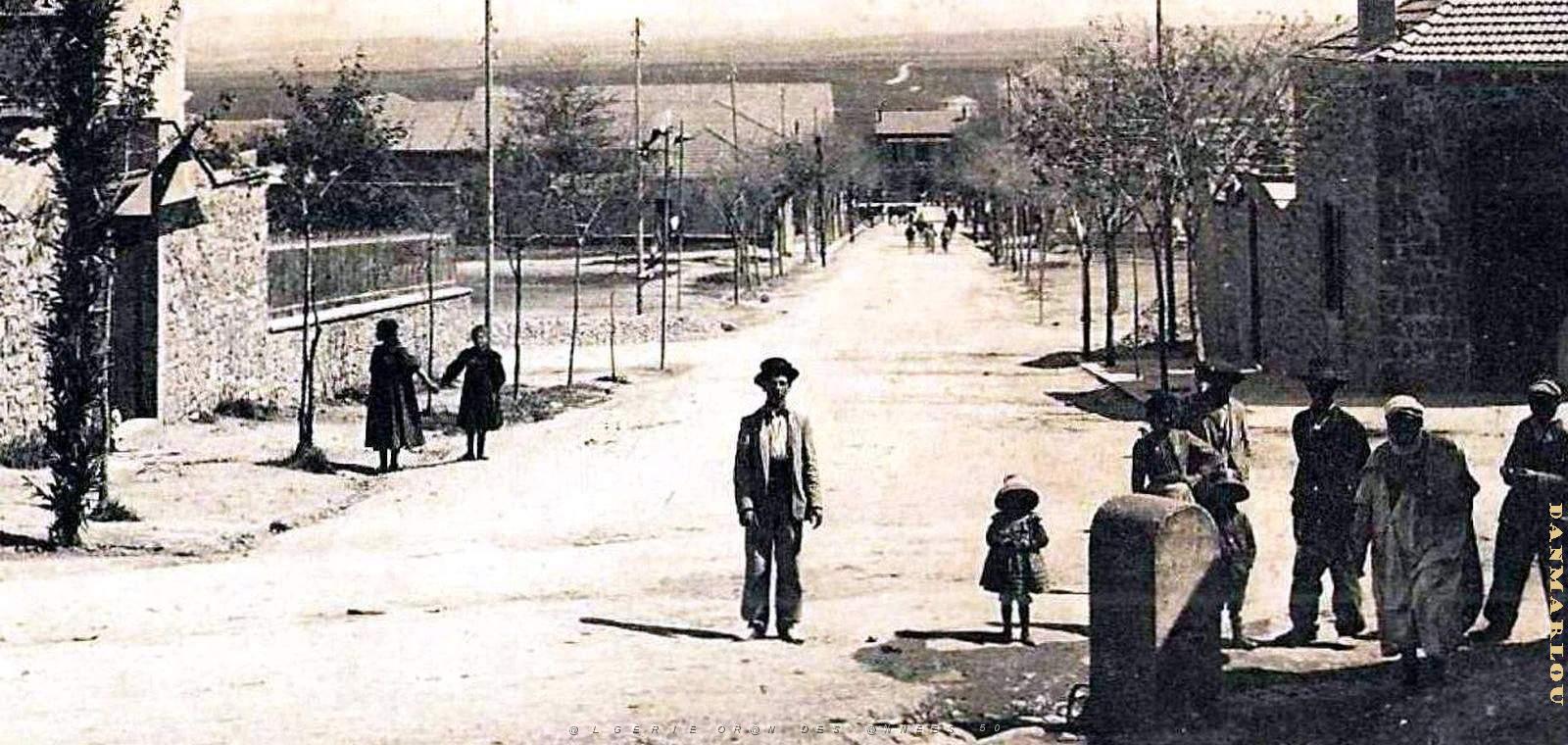 2802- Tiaret - Avenue Escoffier2 - 1915.jpg